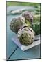 Artichoke of Paestum Igp-null-Mounted Photographic Print