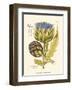 Artichoke, Pl. 462-null-Framed Art Print