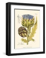 Artichoke, Pl. 462-null-Framed Art Print