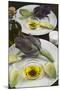 Artichoke with Dipping Sauce (Oil, Salt, Pepper and Vinegar), Cuisine-Nico Tondini-Mounted Photographic Print