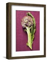 Artichoke with Leaf on Purple Background-Foodcollection-Framed Photographic Print