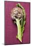 Artichoke with Leaf on Purple Background-Foodcollection-Mounted Photographic Print