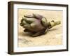 Artichoke-Foodcollection-Framed Photographic Print