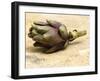 Artichoke-Foodcollection-Framed Photographic Print