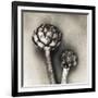 Artichoke-Jamie Cook-Framed Giclee Print