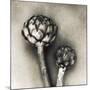 Artichoke-Jamie Cook-Mounted Giclee Print