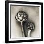 Artichoke-Jamie Cook-Framed Giclee Print