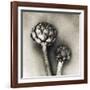 Artichoke-Jamie Cook-Framed Giclee Print