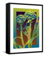 Artichoke-David Chestnutt-Framed Stretched Canvas