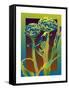 Artichoke-David Chestnutt-Framed Stretched Canvas