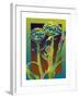 Artichoke-David Chestnutt-Framed Giclee Print