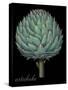 Artichoke-Mindy Sommers-Stretched Canvas