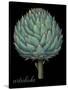 Artichoke-Mindy Sommers-Stretched Canvas