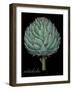 Artichoke-Mindy Sommers-Framed Giclee Print