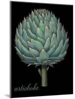 Artichoke-Mindy Sommers-Mounted Giclee Print