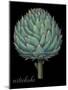 Artichoke-Mindy Sommers-Mounted Giclee Print