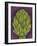 Artichoke-Jennifer Goldberger-Framed Art Print