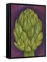 Artichoke-Jennifer Goldberger-Framed Stretched Canvas