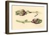 Artichokes, 2005-Alison Cooper-Framed Giclee Print