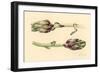 Artichokes, 2005-Alison Cooper-Framed Giclee Print