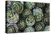 Artichokes at Place Marechal Foch Market, Ajaccio, Corsica, France-Walter Bibikow-Stretched Canvas