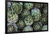 Artichokes at Place Marechal Foch Market, Ajaccio, Corsica, France-Walter Bibikow-Framed Photographic Print