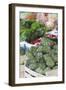 Artichokes at Place Marechal Foch Market, Ajaccio, Corsica, France-Walter Bibikow-Framed Photographic Print