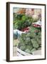 Artichokes at Place Marechal Foch Market, Ajaccio, Corsica, France-Walter Bibikow-Framed Photographic Print