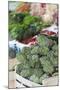 Artichokes at Place Marechal Foch Market, Ajaccio, Corsica, France-Walter Bibikow-Mounted Photographic Print