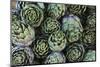 Artichokes at Place Marechal Foch Market, Ajaccio, Corsica, France-Walter Bibikow-Mounted Photographic Print