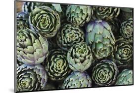 Artichokes at Place Marechal Foch Market, Ajaccio, Corsica, France-Walter Bibikow-Mounted Photographic Print