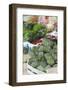 Artichokes at Place Marechal Foch Market, Ajaccio, Corsica, France-Walter Bibikow-Framed Photographic Print