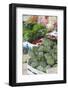 Artichokes at Place Marechal Foch Market, Ajaccio, Corsica, France-Walter Bibikow-Framed Photographic Print