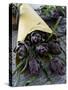 Artichokes in a Bag, Italy, Europe-Nico Tondini-Stretched Canvas