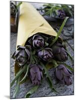 Artichokes in a Bag, Italy, Europe-Nico Tondini-Mounted Photographic Print