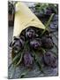 Artichokes in a Bag, Italy, Europe-Nico Tondini-Mounted Photographic Print