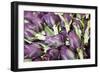 Artichokes in Mass at Venice Farmers Market, Italy-Terry Eggers-Framed Photographic Print