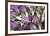 Artichokes in Mass at Venice Farmers Market, Italy-Terry Eggers-Framed Photographic Print