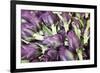 Artichokes in Mass at Venice Farmers Market, Italy-Terry Eggers-Framed Photographic Print