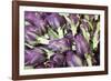 Artichokes in Mass at Venice Farmers Market, Italy-Terry Eggers-Framed Photographic Print