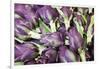 Artichokes in Mass at Venice Farmers Market, Italy-Terry Eggers-Framed Photographic Print