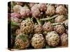 Artichokes in the Market, Venice, Veneto, Italy-Michael Busselle-Stretched Canvas