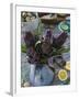 Artichokes, Italy, Europe-Nico Tondini-Framed Photographic Print