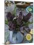 Artichokes, Italy, Europe-Nico Tondini-Mounted Photographic Print