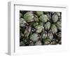 Artichokes, Produce Market, Ortygia Island, Syracuse, Sicily, Italy-Walter Bibikow-Framed Photographic Print