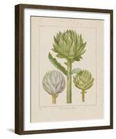 Artichokes-Besler Basilius-Framed Giclee Print