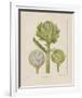 Artichokes-Besler Basilius-Framed Giclee Print