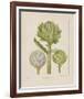 Artichokes-Besler Basilius-Framed Giclee Print