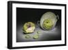 Artichokes-Christophe Verot-Framed Giclee Print