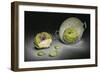 Artichokes-Christophe Verot-Framed Giclee Print